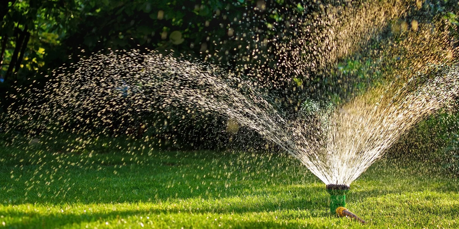 Transform your lawn with comprehensive Care.