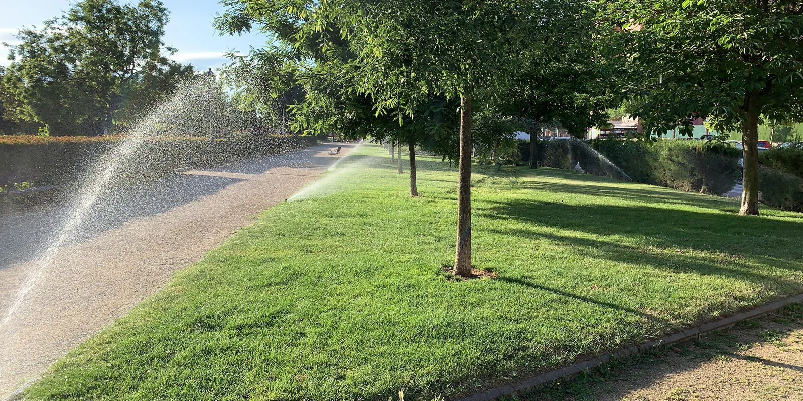 Trim trees for health and beauty all year.