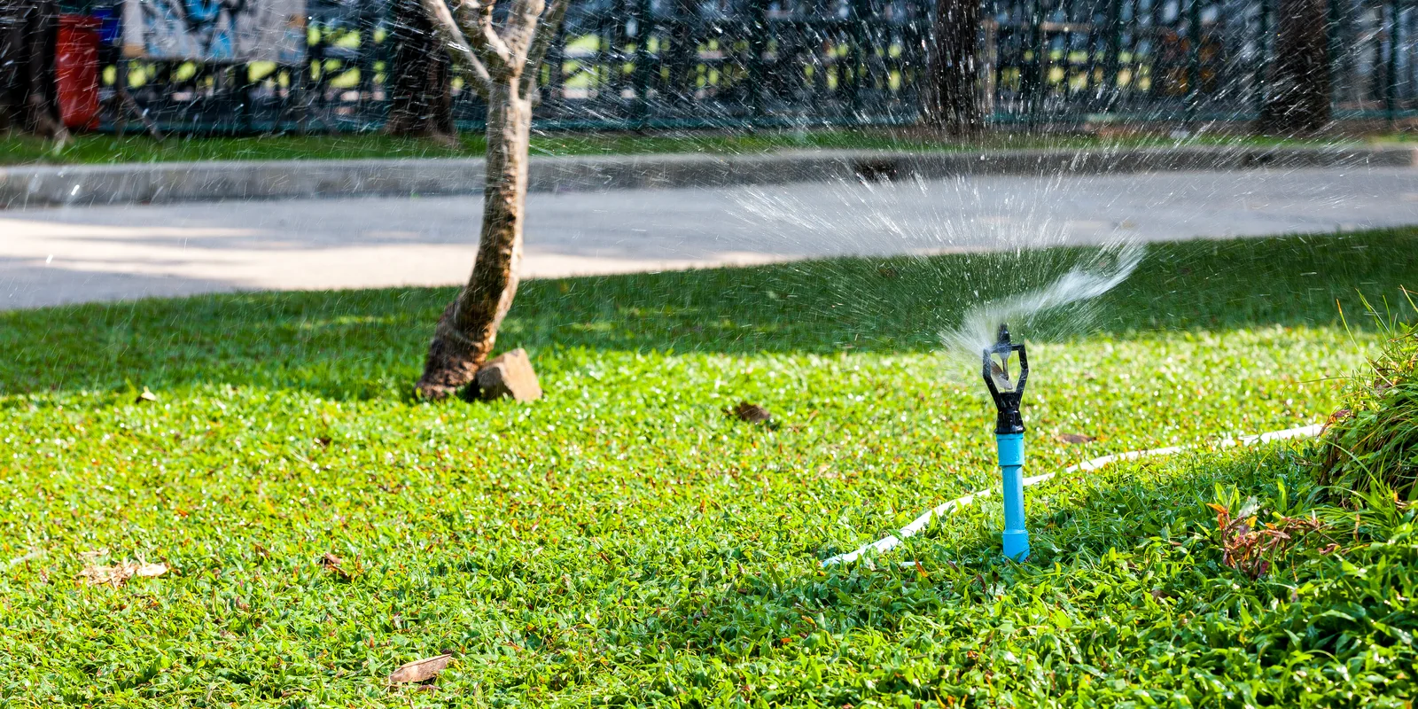 Keep your lawn fresh with our professional Services.