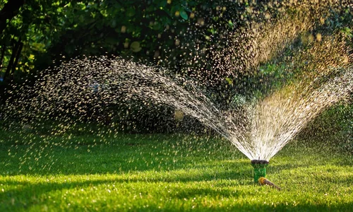 Transform your lawn with comprehensive Care.