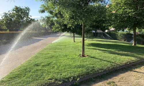 Trim trees for health and beauty all year.