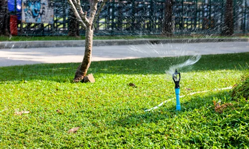 Keep your lawn fresh with our professional Services.