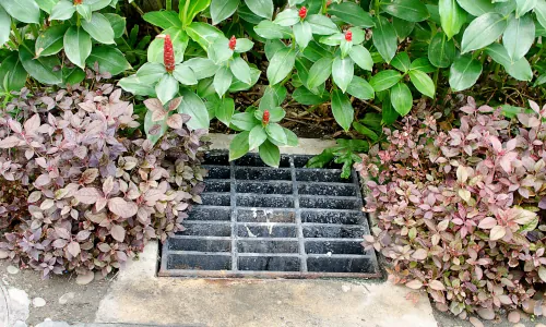 img-French Drains Services