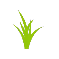 img-Irrigation Services